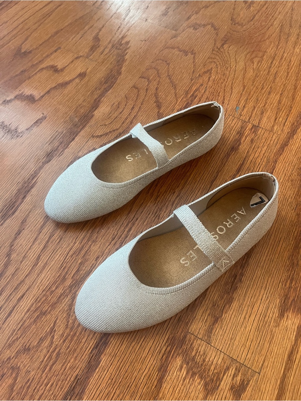 NWOT Gold Aérosoles Mary Jane Ballet Flats